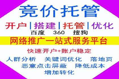 成功案例分享：SEM竞价代运营策略解析